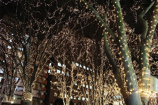 SENDAI光のページェント
