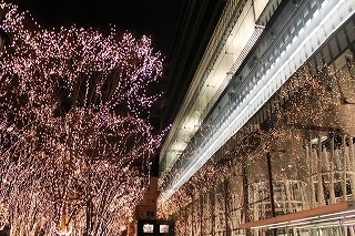 SENDAI光のページェント