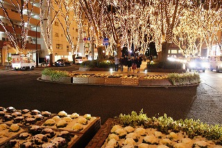 SENDAI光のページェント