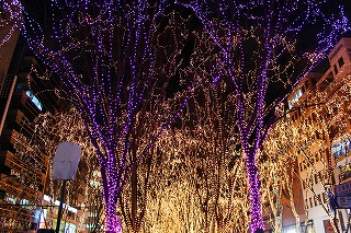 SENDAI光のページェント