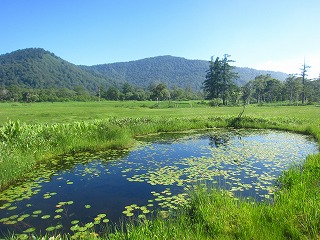 研究見本園