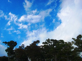 秋空