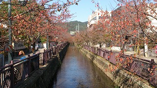 八瀬川