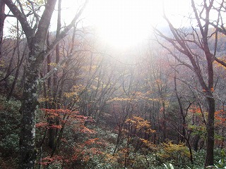 柳沢峠付近