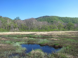 池塘と湿原