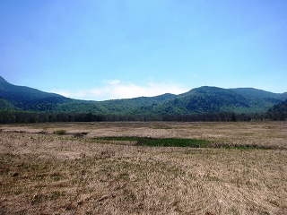 下田代