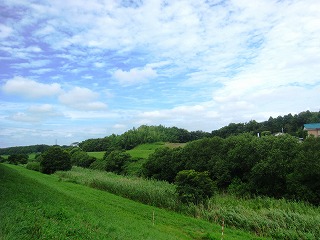 利根運河