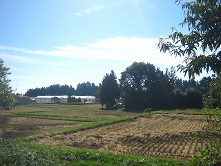 今市の田園風景