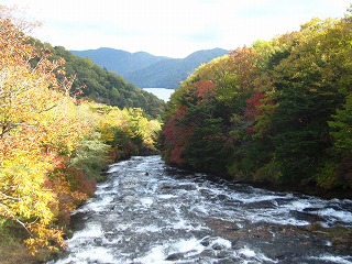 龍頭の滝