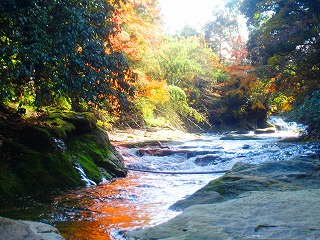 粟又の滝