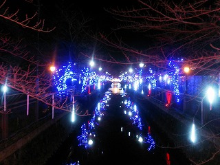 八瀬川イルミネーション
