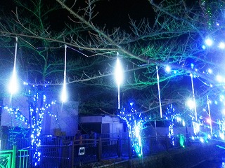 八瀬川イルミネーション