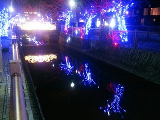 八瀬川イルミネーション