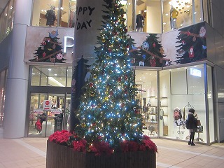 パルコ前のクリスマスツリー