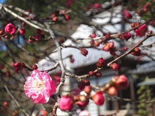 越生七福神めぐり