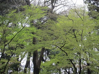 六義園