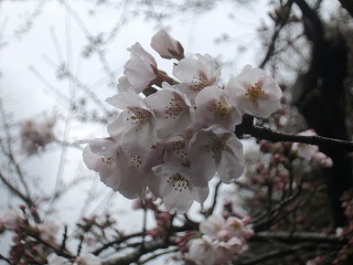 六義園