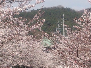 金山をアップで
