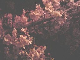 ܐ̃\CVm