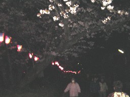 ܐ̃\CVm
