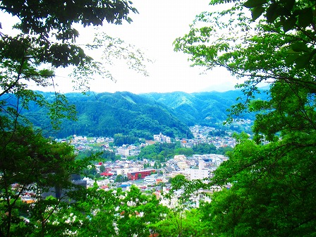青梅の新緑