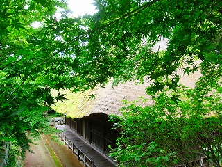 山笑う春
