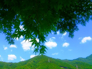 鬼怒川温泉の新緑