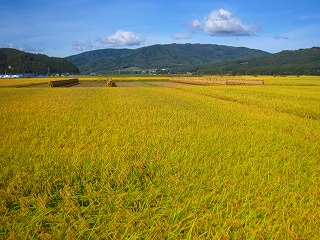 遠野盆地