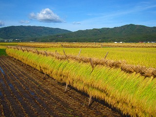 遠野盆地