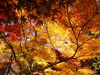 唐沢山神社