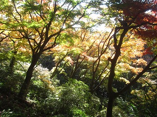 唐沢山神社
