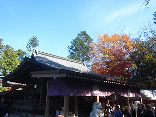 唐沢山神社