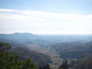 唐沢山神社