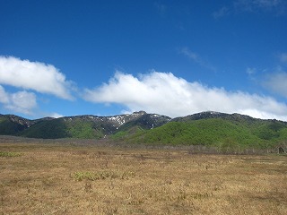 下田代