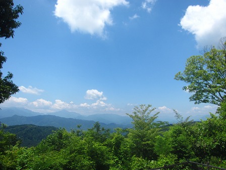 高尾山頂