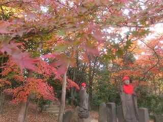 金龍寺の紅葉