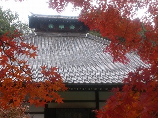 金龍寺の紅葉