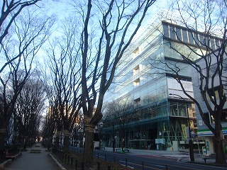朝の定禅寺通り