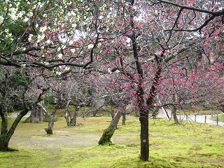 兼六園