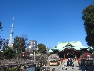 亀戸天神