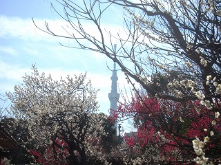 向島百花園