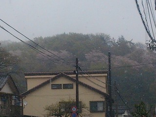 東山球場近くの山並み