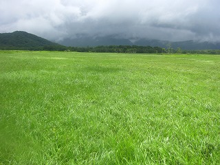 中田代