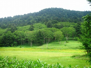 大江湿原遠景