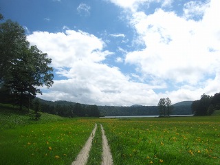 大江湿原と夏空