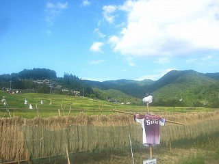寺坂棚田
