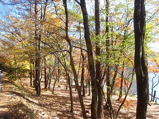 榛名湖畔の紅葉