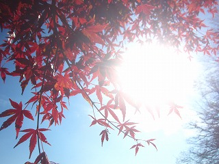 榛名湖畔の紅葉