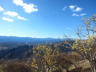花絵巻