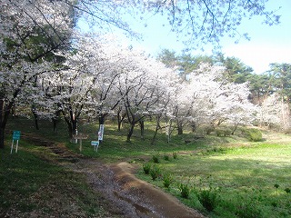 西山ハイキングコース